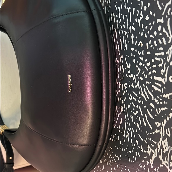 Songmont Sleek Black Hobo Bag - Picture 4 of 5